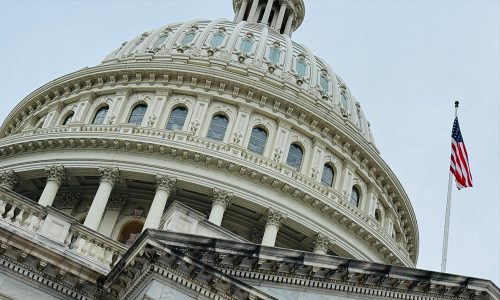 Federal Contractors After EO 14173